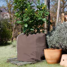 Protection des plantes en pot Winterpot